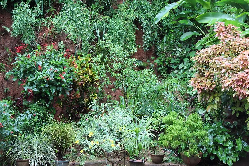 Alloggio in famiglia Appartamento Anniewatte House Kandy